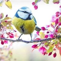 こころ (@kokoro058778045) 's Twitter Profile