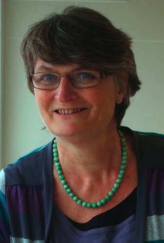 I have written two novels A SMALL TOWN AFFAIR (2010)  and THE TROUBLE WITH KEEPING MUM (2012). I am a  speech and language therapist specialising in dyslexia.