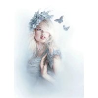 Kelly Tucker (@macitree) 's Twitter Profile