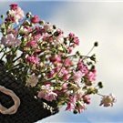 副業で収入を増やすコツを共有中。副業を始めたい人に有益な情報をお届け。少額ですが10万円プレゼント企画もしております♫ 支援中⇒ https://t.co/bwMaQdQJ8T
