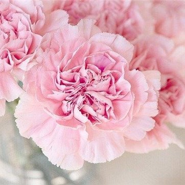 kyouko589549's profile picture. お金に恵まれる方法やお得情報など紹介したりしています。自身がお金に苦労した経験から生活に困っている方を助けたいと思い、僅かですが現金プレゼント企画をしています♬ 期間限定▶ https://t.co/j1hg9A1v5r