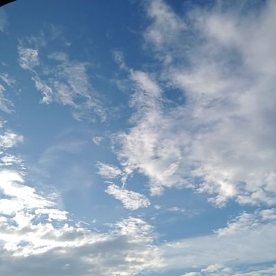 dean288928's profile picture. 
