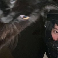 desafio pesadinho (@foguinhodaca) 's Twitter Profile