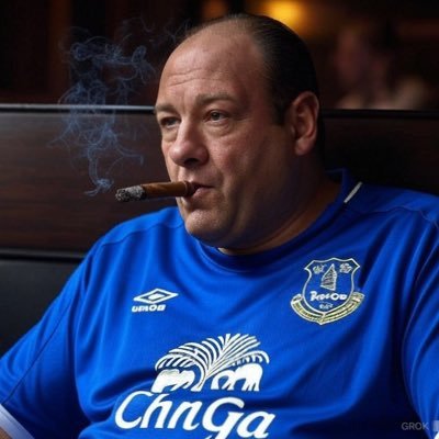 Sine1878T's profile picture. Everton induced depression NSNO 💙