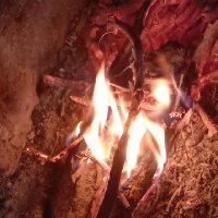 RJ23 (@rajputanarj23) 's Twitter Profile
