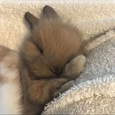 Zerosummer0_1's profile picture. 