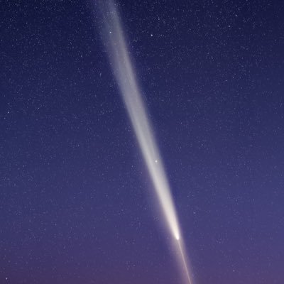 forsty_ling's profile picture. noting