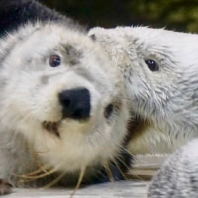 ゆたかさんのプロフィール画像