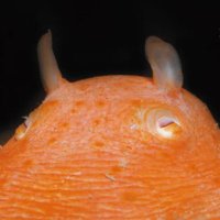 mendako (@mnda_k0) 's Twitter Profile Photo