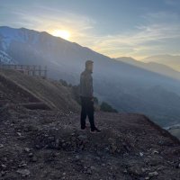 Coder (@d0n1y0r) 's Twitter Profile
