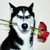 每日TOP秀 (@top20241) Twitter profile photo 每日TOP秀 (@top20241) Twitter profile photo