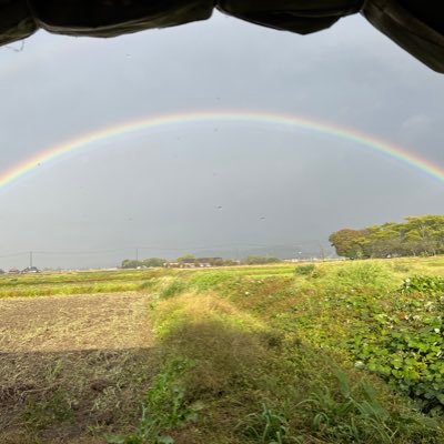 takusubg0's profile picture. よろ