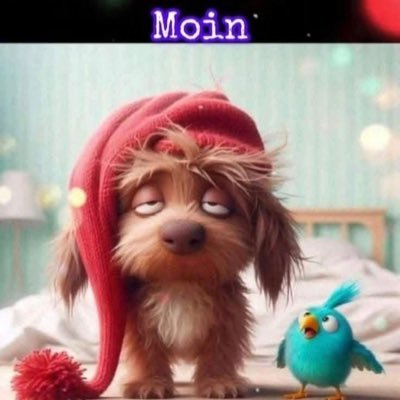 DvorneD's profile picture. 