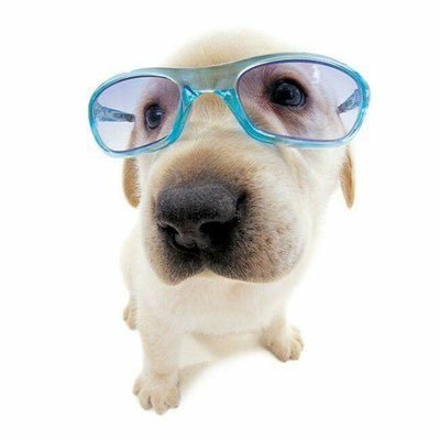 eoeum6154's profile picture. 본계