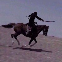 ubeyde (@feneryzim) 's Twitter Profile