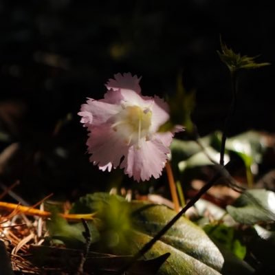 tbk_danny's profile picture.