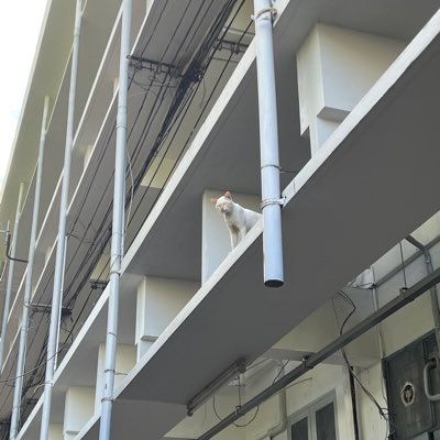 nongjornorrr's profile picture. ตอบช้าทักไลน์ได้เลยค้าบ 🩷_🩷 ดูรีวิว ได้ที่ #jellyjornor #โปรน้องจอนอ