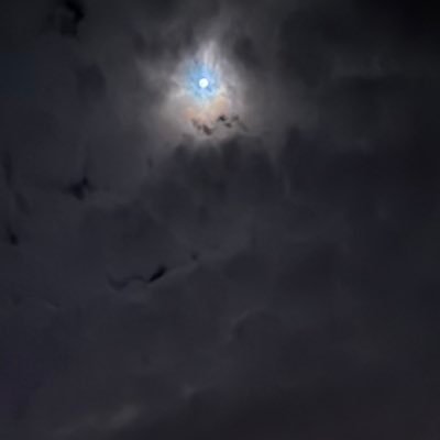 ophiuchusbibi's profile picture. 