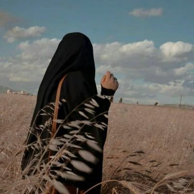 Gholamian_79's profile picture. اندکی مهندس کشاورزی/اندکی هنرمند/انقلابی🇮🇷