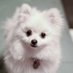 🎵 (@lumv4o) Twitter profile photo 🎵 (@lumv4o) Twitter profile photo