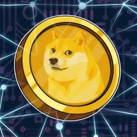 DOGE PROFESSOR (@dogeproff) 's Twitter Profile