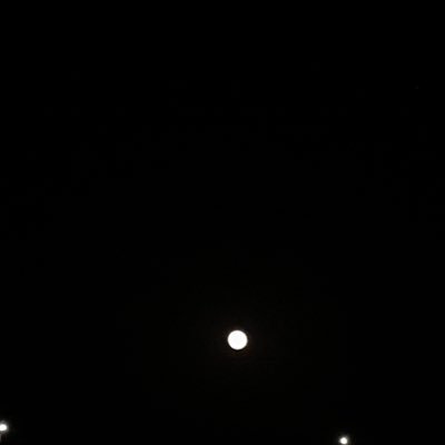 Sam_aoop's profile picture. 