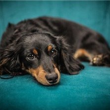 izumi1432219's profile picture. 副業の成功法を発信中。副業を始めたい人に有益な情報を発信。多少ですが10万円プレゼント企画もしております☆ なくなり次第終了→ https://t.co/HFY3kaCWMQ