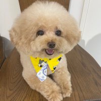 さとぅー (@hitcky) 's Twitter Profile