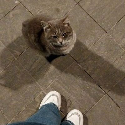 seham1097's profile picture. 