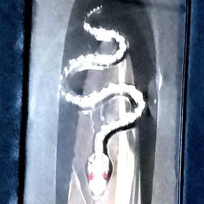 DID_done_will_3's profile picture. 初代垢⇢@DID_done_will_0 二代目垢⇢@DID_done_will_2 ◉虐待と犯罪被害で各々がcPTSDで解離性障害(DID)◉記録&遺書アカウント◉画像は遺影代わり◉来る者選び去る者追わず◉反骨精神◉毎日が正気と狂気のデスマッチ◉抜け落ちた記憶が蘇るので昔話が増えます◉高頻度で荒れます◉狂人◉ほぼ亡霊