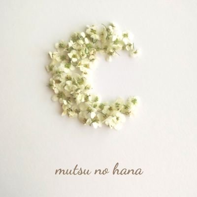 ~ mutsu no hana ~さんのプロフィール画像