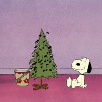 누하 (@songnuha48708) 's Twitter Profile Photo