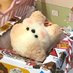 柔软的棉花糖流出水来 (@ymarshmallowy) Twitter profile photo 柔软的棉花糖流出水来 (@ymarshmallowy) Twitter profile photo