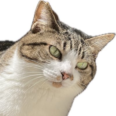 piyopiyooj's profile picture. "너 또 두 눈을 뜬 채로 꿈을 꾸고 있구나"