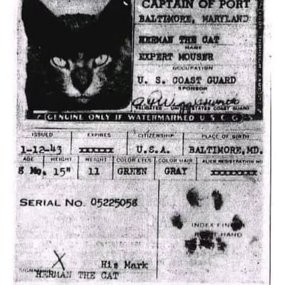 NYang51407's profile picture. 