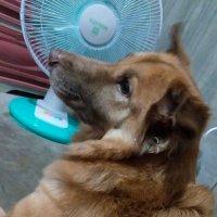 Mary Ann 🌸 (@wew65818733) 's Twitter Profile