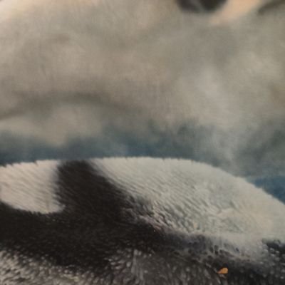 Niko1356821's profile picture. 