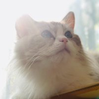 Mayday (@mayday614009) 's Twitter Profile