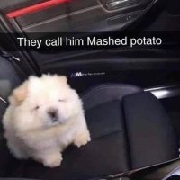 MintMachine (@mintmachin76842) 's Twitter Profile