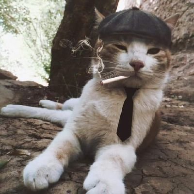 Zucoskis's profile picture. 