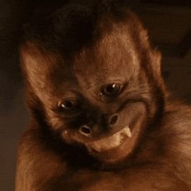 Billybong4565's profile picture.