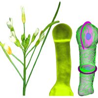 TCB LAB, IISER TVM (@tcblab_iisertvm) 's Twitter Profile Photo TCB LAB, IISER TVM (@tcblab_iisertvm) 's Twitter Profile Photo