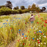 Despi (@despichri) 's Twitter Profile Photo