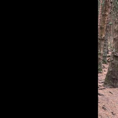 jhonkumarr's profile picture. 