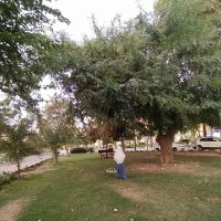 مُـنـيَّــــة 🇵🇸𓂆 (@omnia_tamer_96) 's Twitter Profile Photo مُـنـيَّــــة 🇵🇸𓂆 (@omnia_tamer_96) 's Twitter Profile Photo