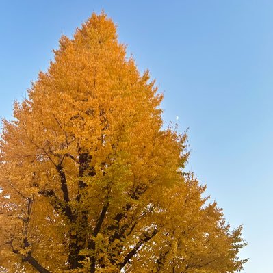 yk2r5n3's profile picture. 