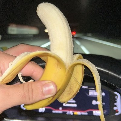 SabikNaoufal's profile picture. 