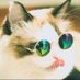 𝓚𝓲𝓷𝓰 𝓡𝓸𝓵𝓵𝔂 🐱 (@ro39fk) Twitter profile photo 𝓚𝓲𝓷𝓰 𝓡𝓸𝓵𝓵𝔂 🐱 (@ro39fk) Twitter profile photo