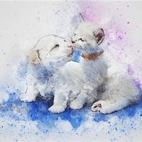 マナカ (@manaka1289100) 's Twitter Profile