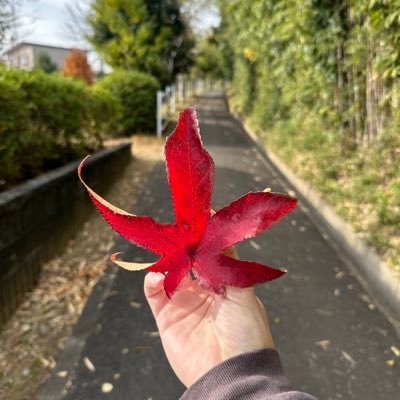 ZeMNcQXgo7m9Tsk's profile picture. 